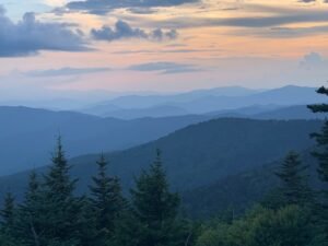 The Resurgence of Nature