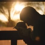 4 Digital Platforms for Heartfelt Fathers Day Cards in 2026